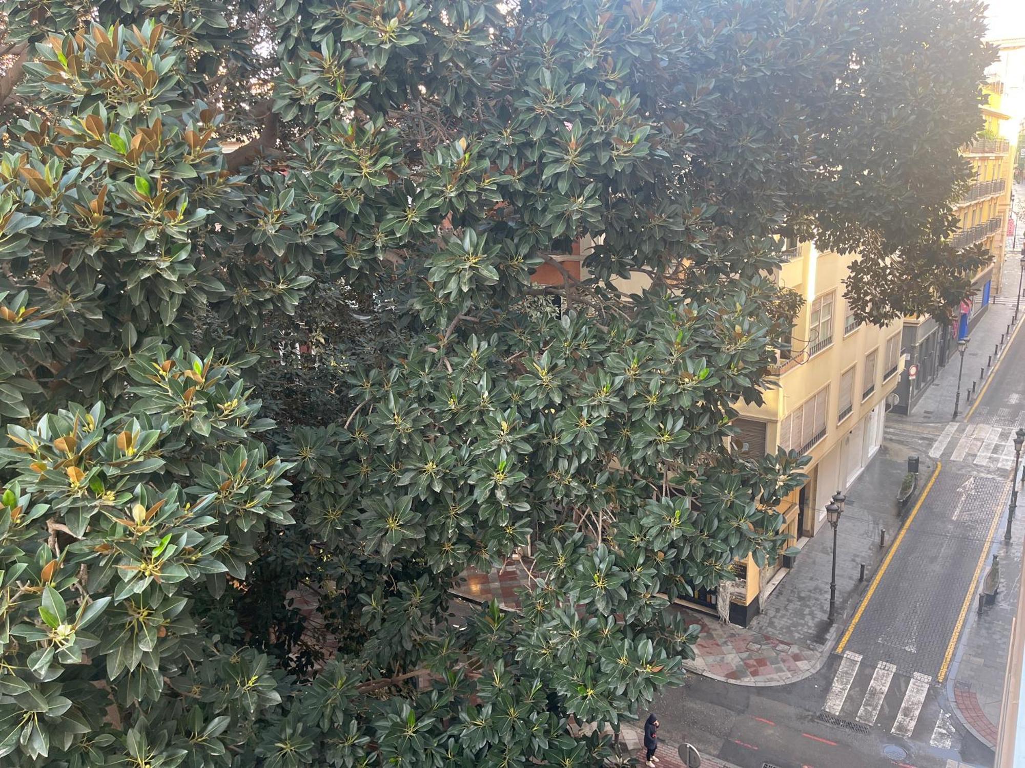 Precioso Loft En El Corazon De Alicante Zewnętrze zdjęcie